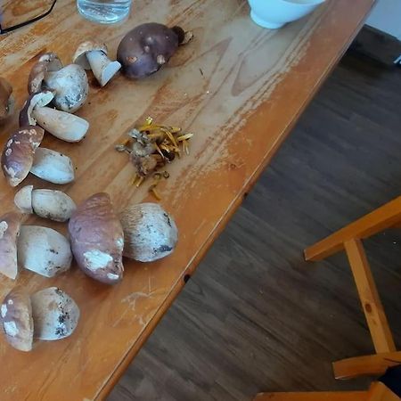 Appartement Vercors 4 Personnes Autrans Kültér fotó